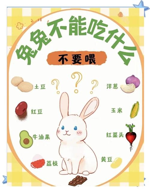 本命年兔年需要注意的事项插图