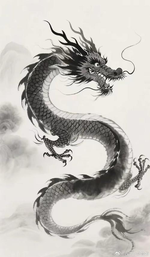八面玲珑打一生肖—龙插图
