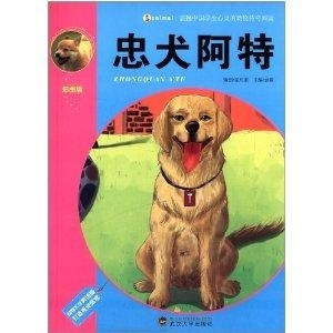 八面玲珑的动物传奇插图