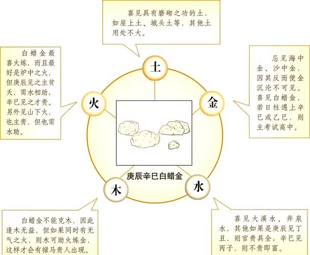 白蜡金命的含义与解读插图