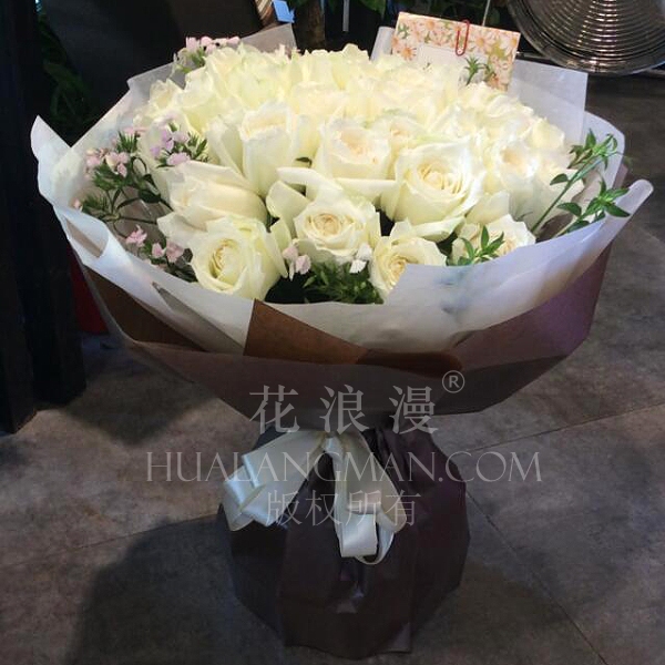 白玫瑰不能随便送人，深藏的寓意与注意事项插图