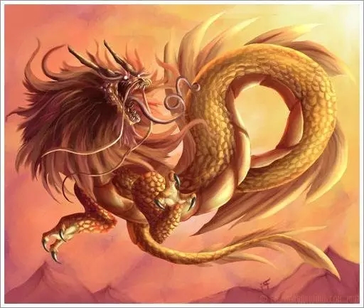 半夜三更代表生肖—龙插图