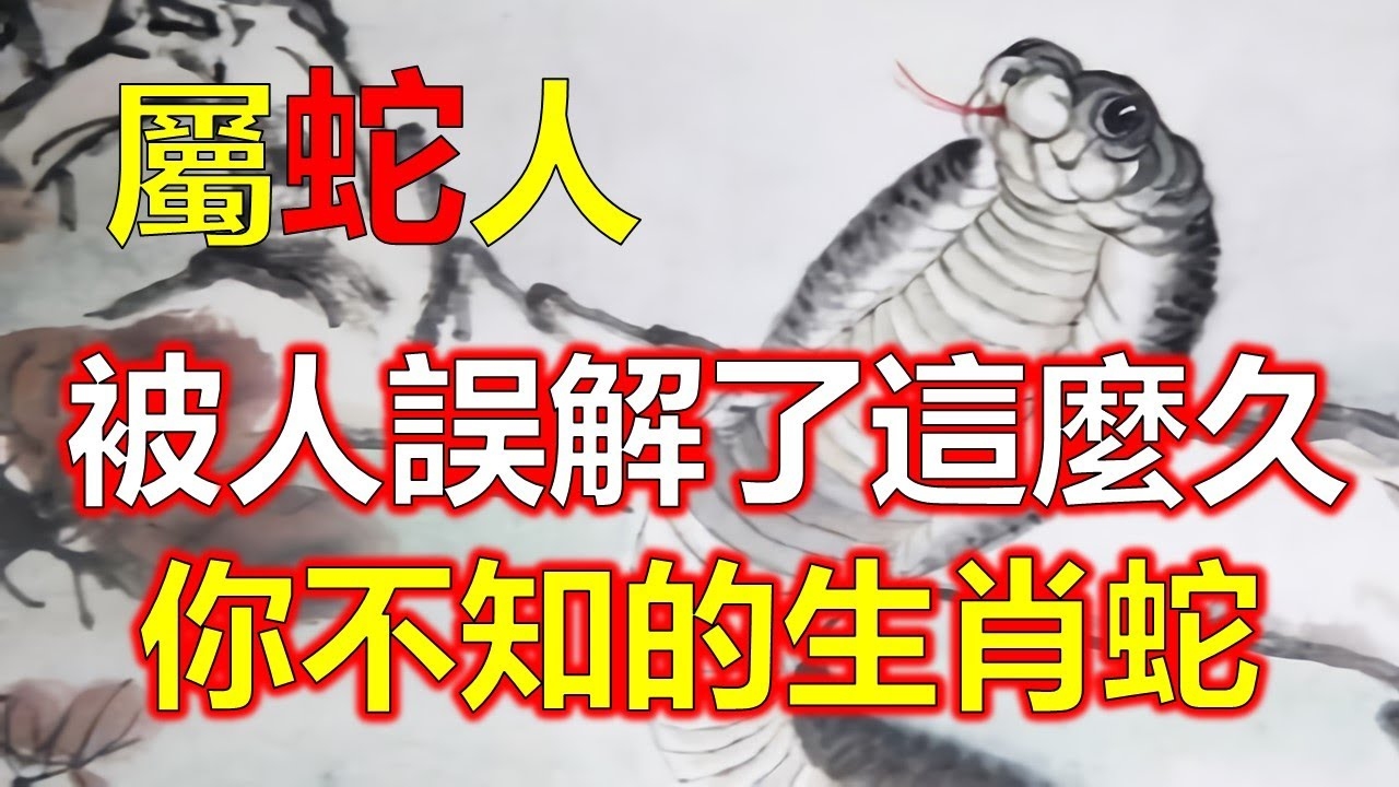 笔走龙蛇，猜一生肖—蛇插图