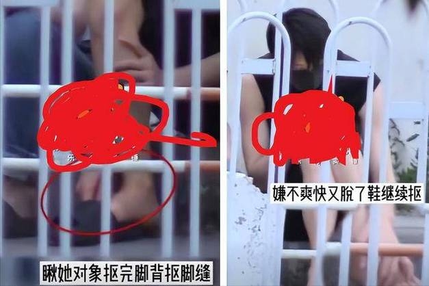 陈村厕所门事件，一场引发社会热议的隐私风波插图