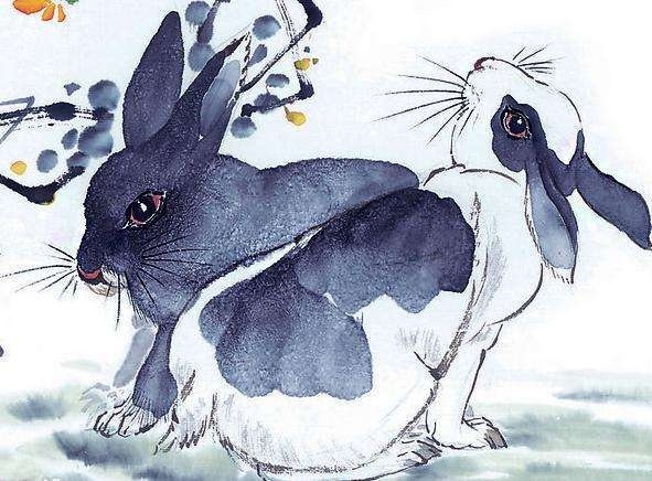 春风徐来打一生肖—探寻生肖中的兔插图