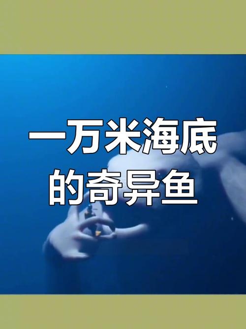 沉没于未知海洋的大鱼，究竟藏了多少秘密？插图