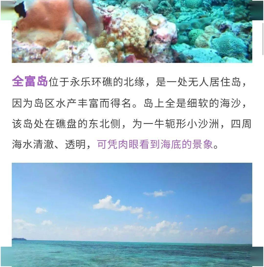 处女座的旅途，探索自我与世界的奇妙旅程插图