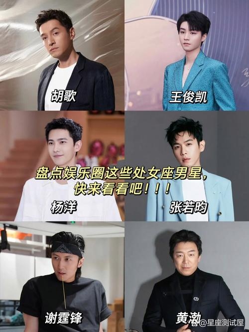 处女座明星，完美主义者的璀璨星光插图