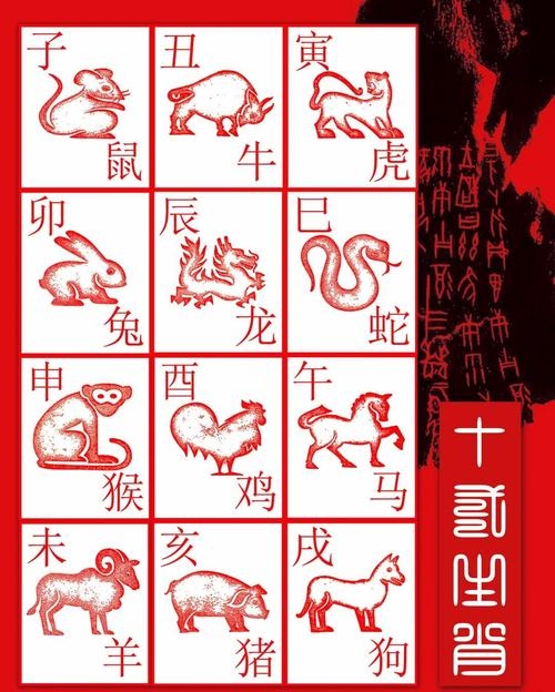 长年累月下的生肖印记插图