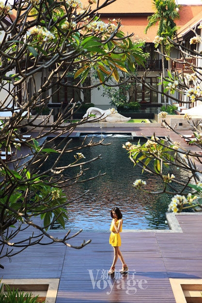 春色破晓明的生肖—探寻生肖与自然的和谐之美插图