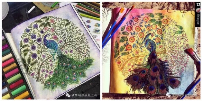 出神入化的生肖奥秘插图 出神入化的生肖奥秘插图