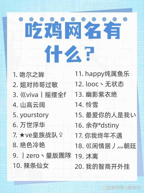 吃鸡四排奇葩名字，游戏背后的故事与独特文化插图