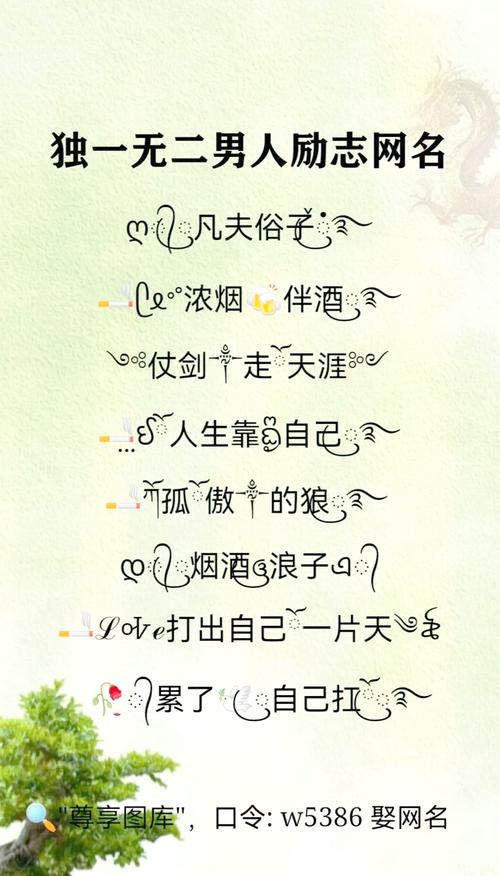 超拽网名，男生霸气的网络身份象征插图