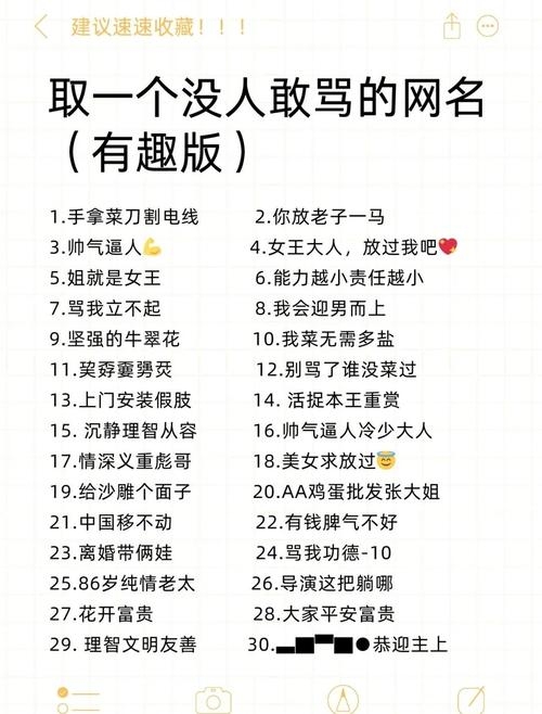 超拽网名大全，打造你的个性标签插图