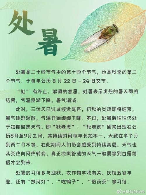 处暑是什么意思？插图