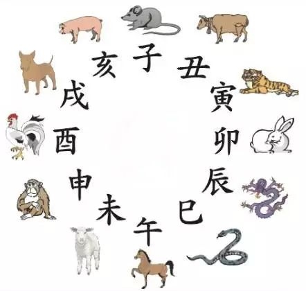 出乖露丑生肖揭秘插图