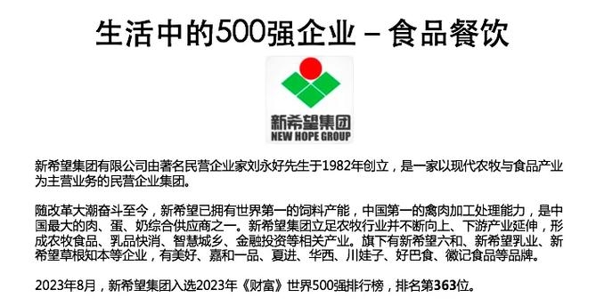 创新引领未来，XYZ食品公司的品牌崛起之路插图