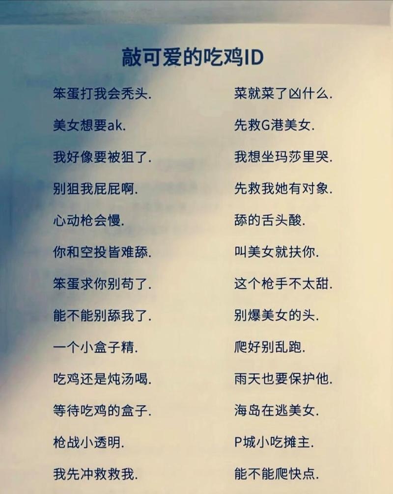 吃鸡游戏名字创意集锦，独特、有趣又有个性插图