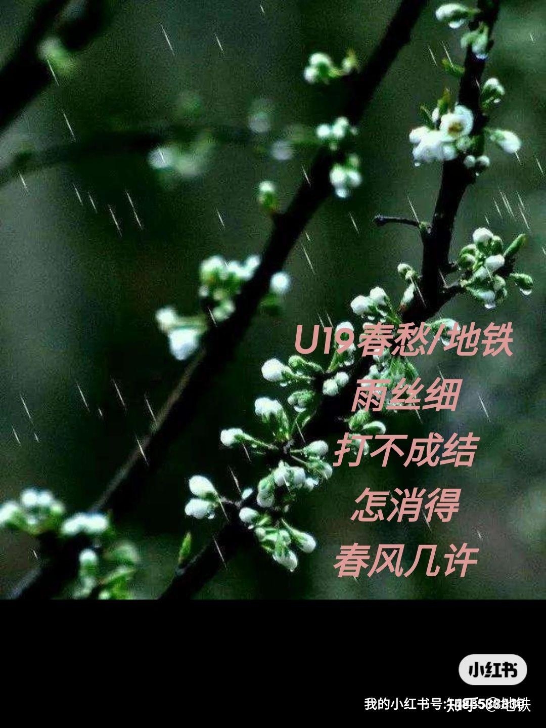 春雨如丝猜一生肖插图