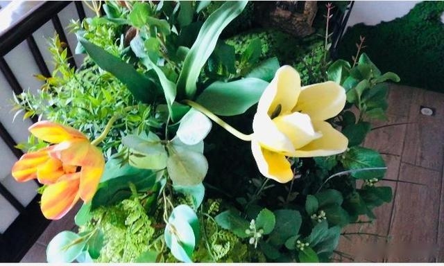 创意生活馆，开启全新灵感之旅插图