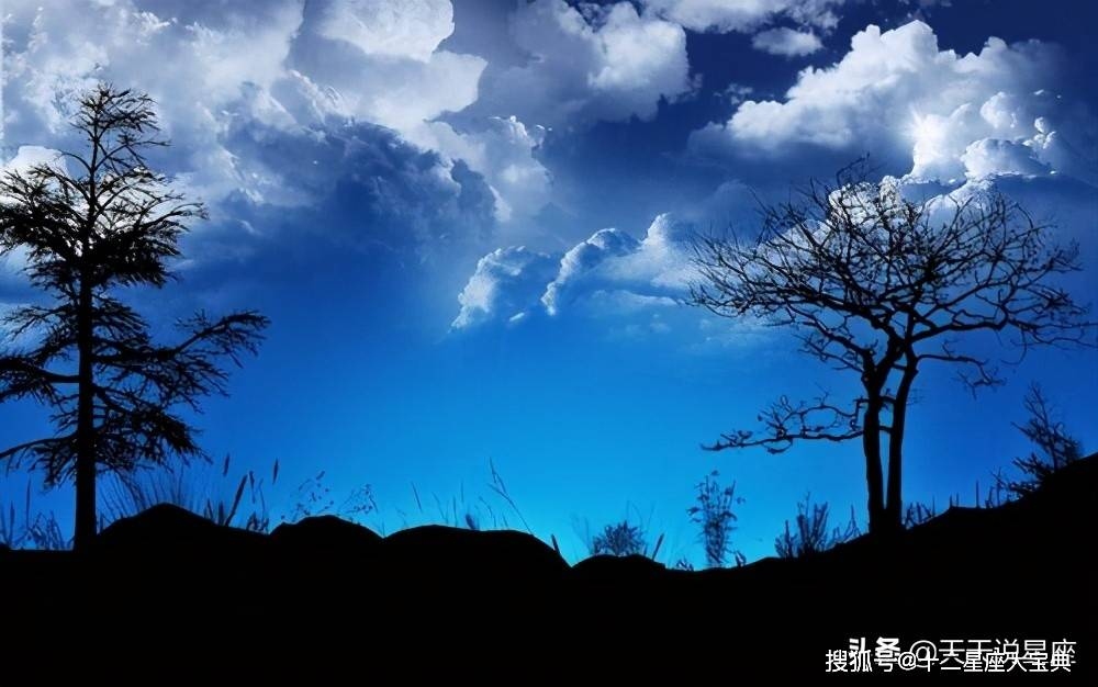 朝云暮雨映生肖—探寻生肖中的神秘面纱插图