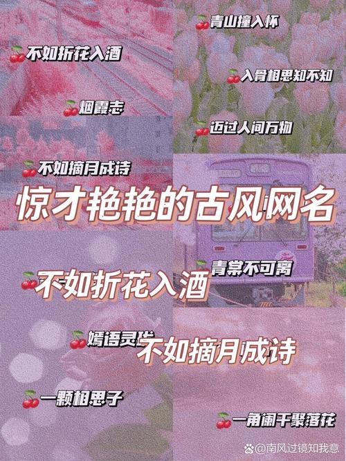 藏着风情的网名，皆是灵动之名插图
