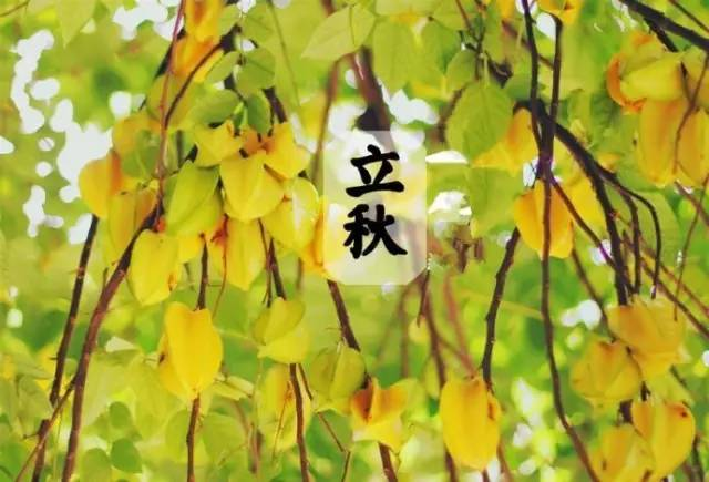 东北立秋的饮食习俗，品味咬秋的独特魅力插图
