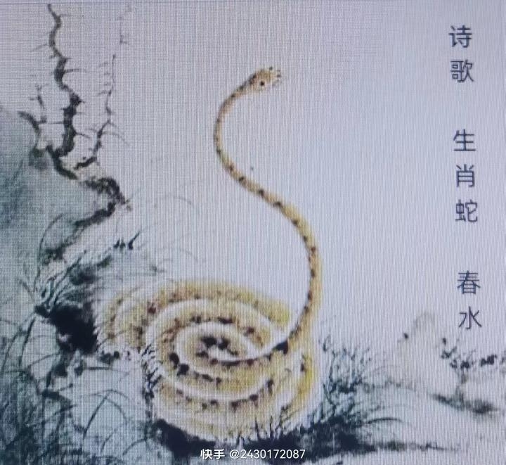 打草惊蛇的生肖—蛇插图