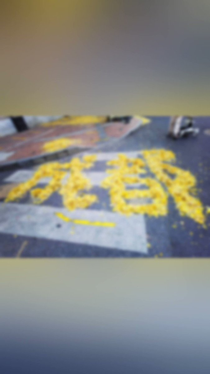 洞府瑶台添锦色—揭秘生肖之谜插图