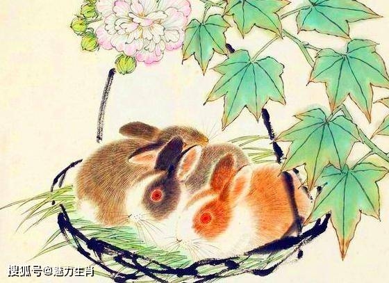 大公无私生肖探秘插图 大公无私生肖探秘插图