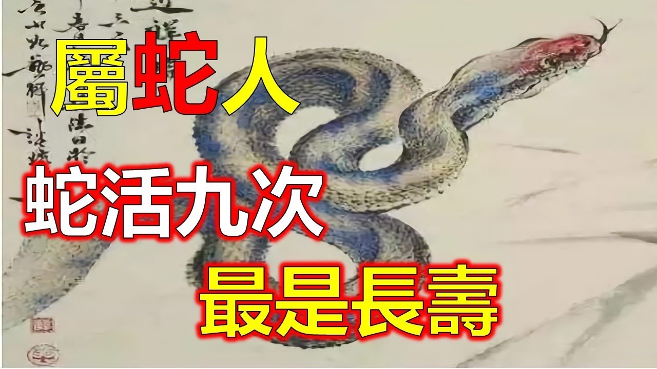 灯红酒绿打一生肖，答案揭晓，蛇！插图