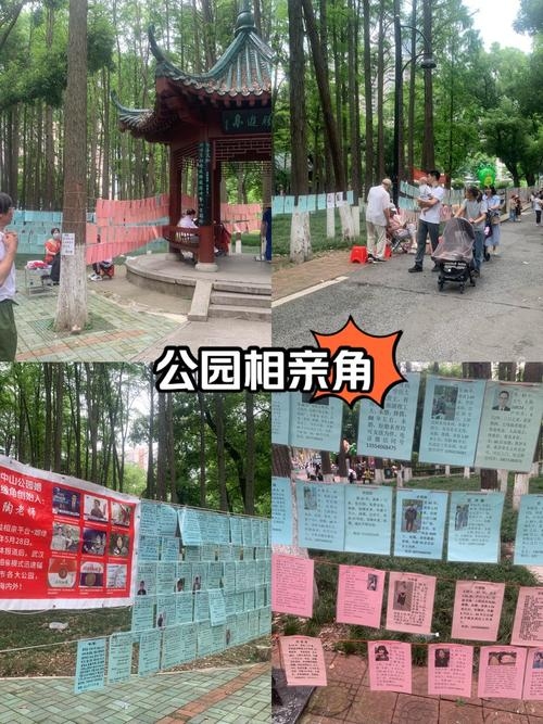 大连婚介哪家好?,大连劳动公园相亲角,热门选择,优质服务插图 大连婚介哪家好?,大连劳动公园相亲角,热门选择,优质服务插图