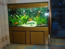 大门口的禁忌，哪些物品应避免放置插图