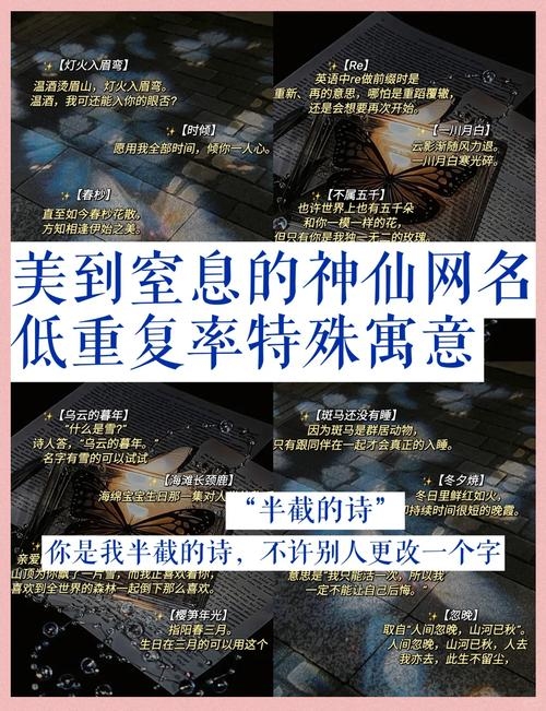 大气的网名，跨越时空的意象载体插图