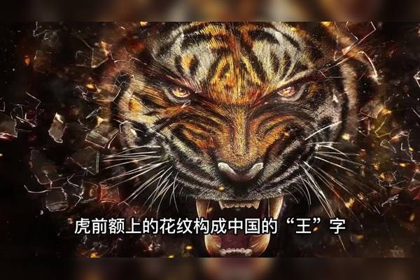 大智大勇的生肖—无人能及的智慧与勇气象征插图