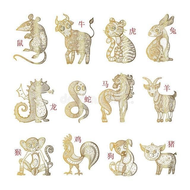 大肖生肖揭秘插图