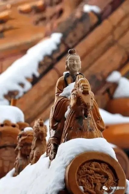 大鸟，体型之雄壮，网络之隐语，梦境之象征插图