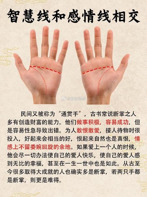 断掌纹，神秘符号下的命运解读插图