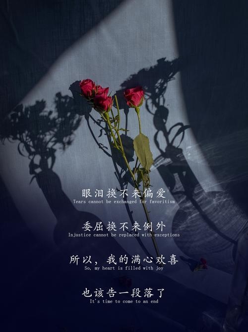 当泪痕爬上心口，或是心底悄然发芽，悲伤便成了别样温柔插图