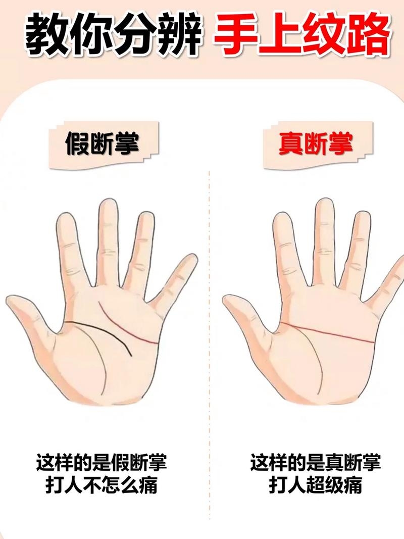 断掌，是否值得追求的终极考量插图