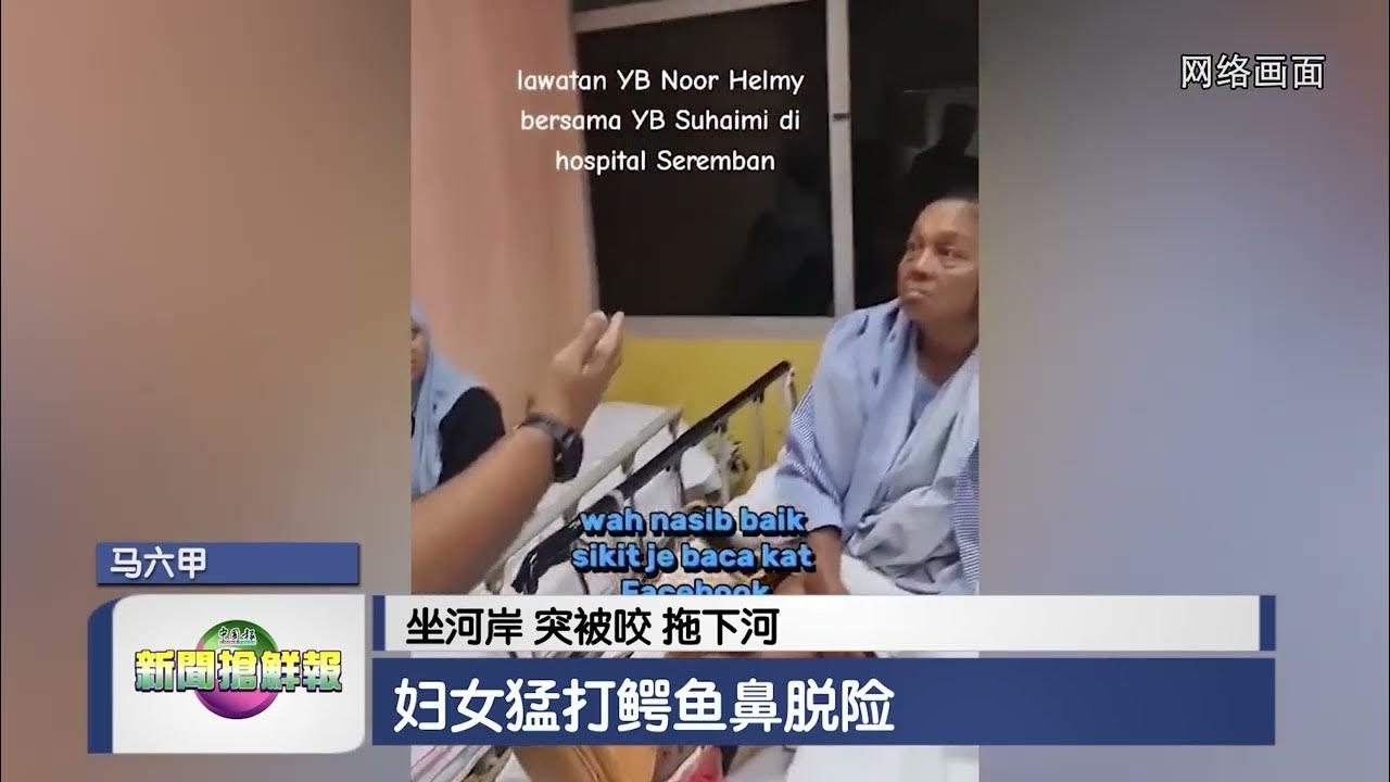 东南亚动物大名之趣，鳄鱼鼻羚羊妙用。插图