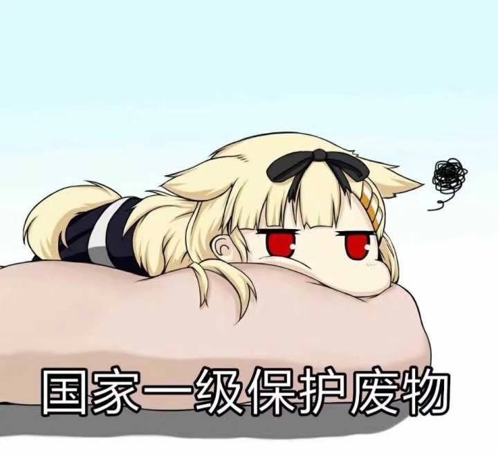 二八佳人，生肖之谜插图