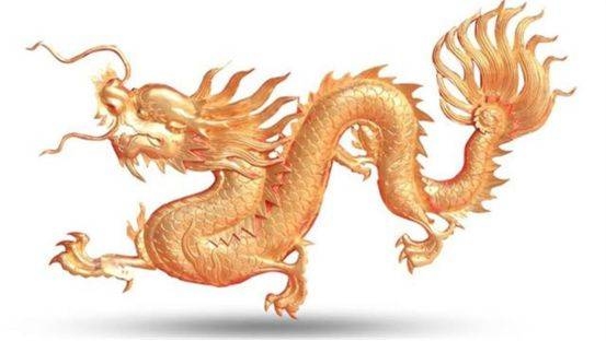 二话没说打一生肖—龙插图