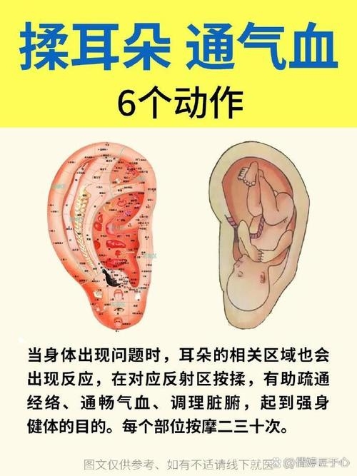 耳朵大，福气到 —— 探索耳朵大与幸福生活的微妙联系插图