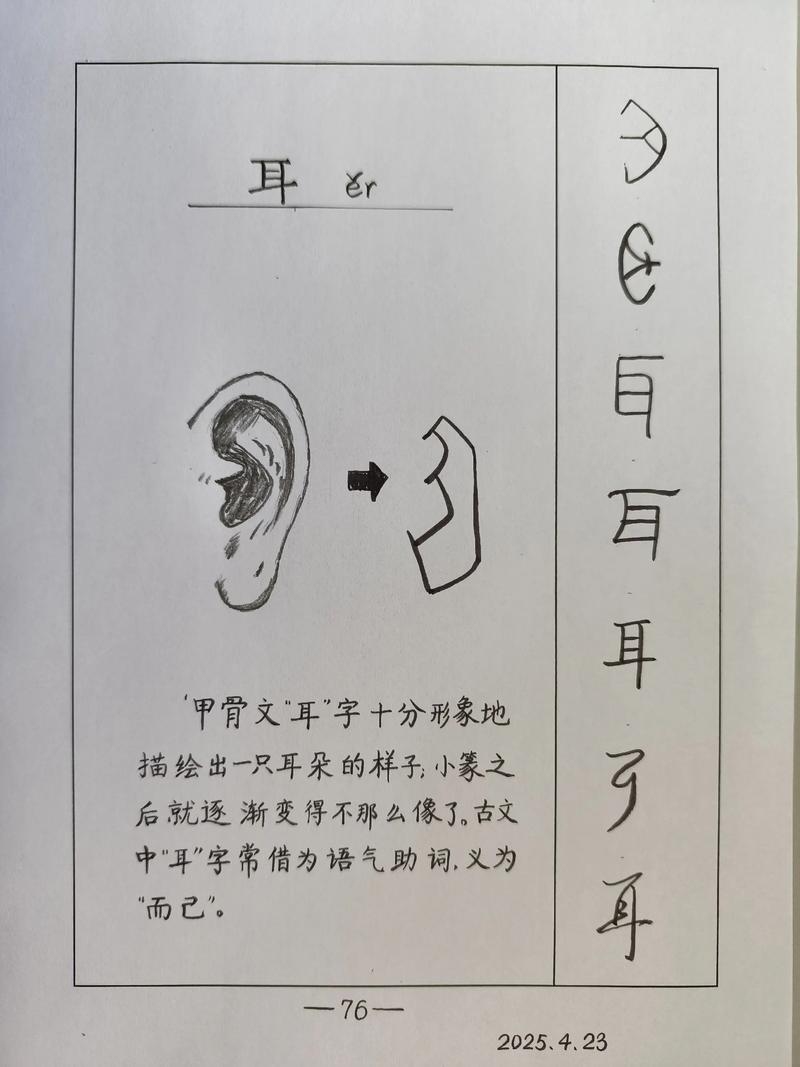 耳朵大有福气，传统文化中的象征意义与现代解读插图