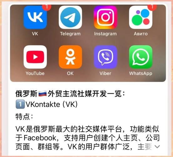 俄罗斯交友网站,跨越国界的社交新篇章插图 俄罗斯交友网站,跨越国界的社交新篇章插图