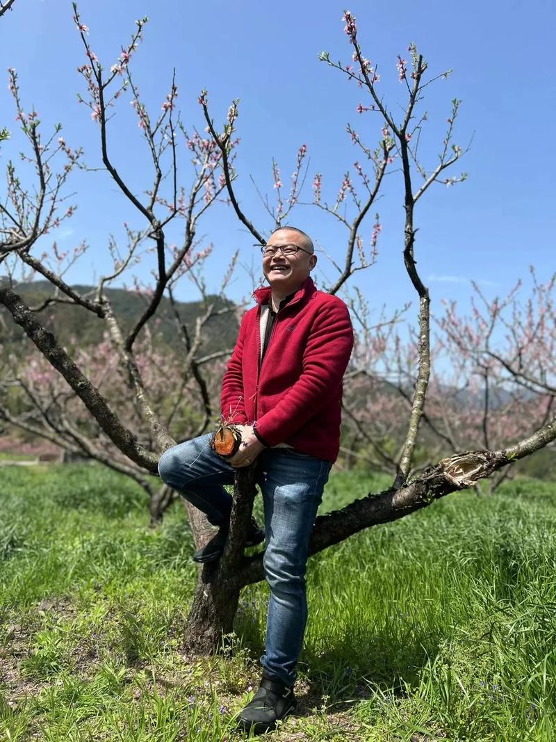 二月般的男人，在时光缝隙中绽放的深情插图