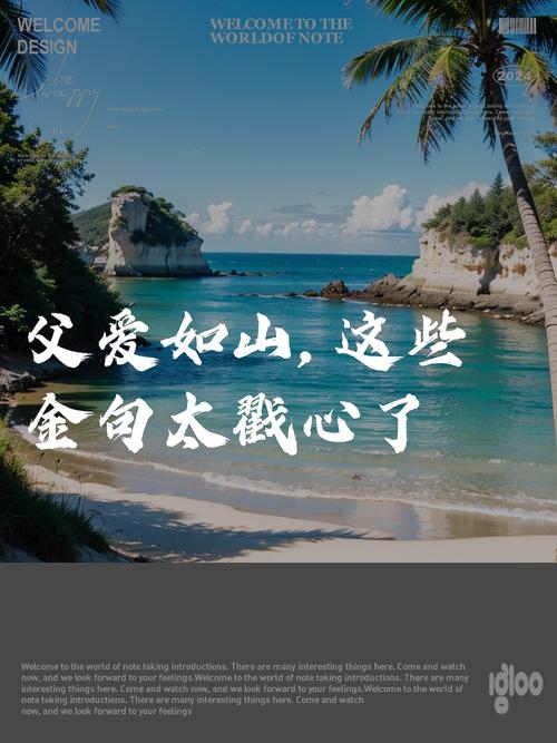 父爱如山，在岁月长河中托起生命的星光插图