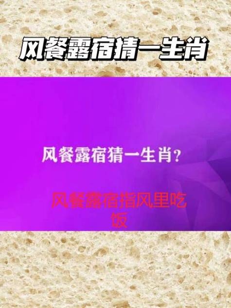 风餐露宿与生肖之谜插图