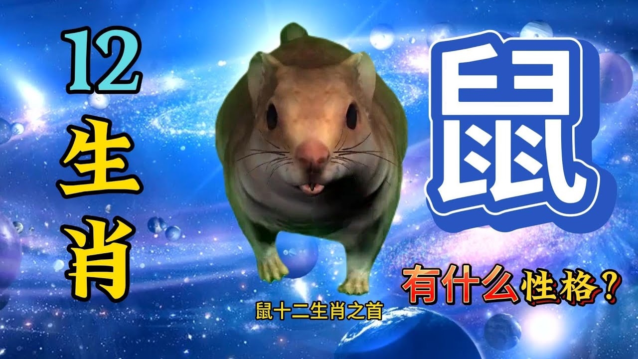 凡夫俗子指生肖,鼠插图 凡夫俗子指生肖,鼠插图
